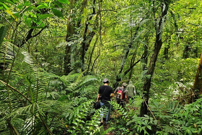 Jungle Trekking at Mt. Batukaru, scenic Waterfall & village life - Sacred jungle trek with real village stops, not a checklist