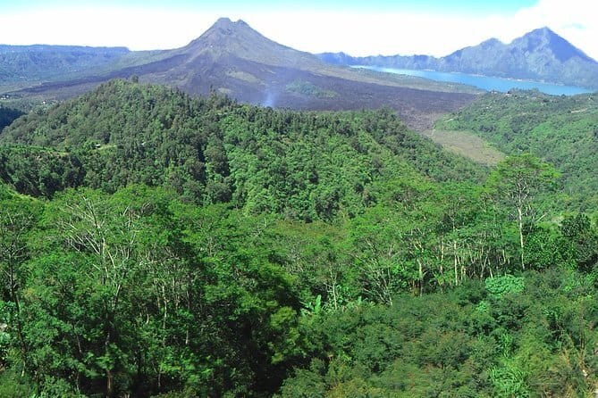 Jungle Trekking at Mt. Batukaru, scenic Waterfall & village life - Balikaru farm and stingless Trigona bees you can actually learn about