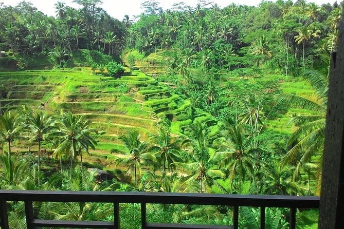 Jungle Trekking at Mt. Batukaru, scenic Waterfall & village life - Who should book this Mt. Batukaru jungle day?