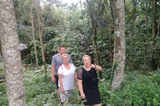 Keliki Village Tour And Rice Field Walk Including Lunch Or Dinner - Entering Keliki: the Ubud start and the calm switch