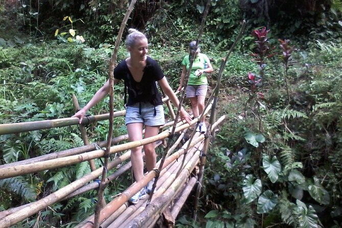Keliki Village Tour And Rice Field Walk Including Lunch Or Dinner - Price and value: is $41 a fair deal for Ubud?