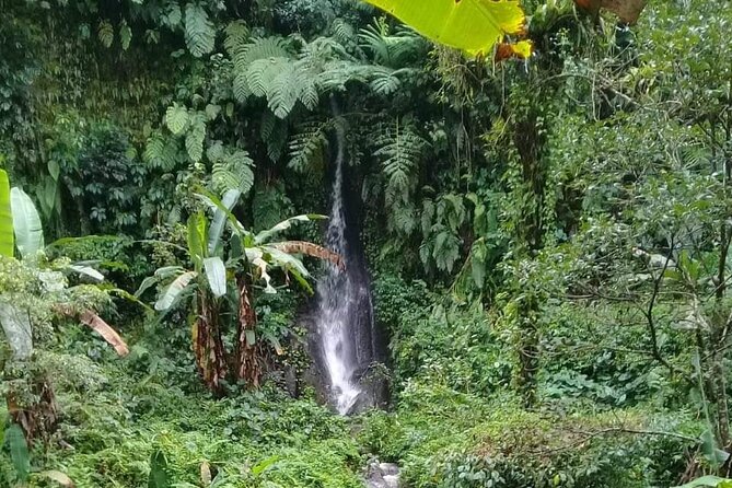 Keliki Village Tour And Rice Field Walk Including Lunch Or Dinner - The irrigation system lesson you’ll actually remember