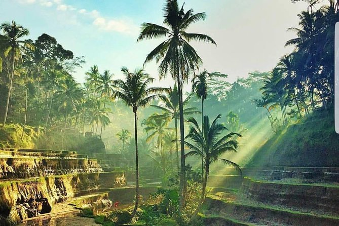 Kintamani and Tukad Cepung Waterfall Tour - Price and value: what $78 really buys in a 9-hour private day