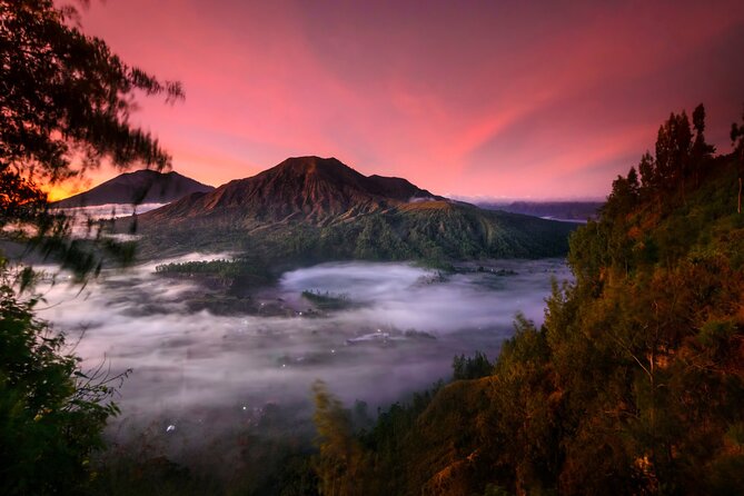 Kintamani Black Lava Sunrise Jeep Adventure with Temple in Bali - Segara Windhu Coffee Plantation: the short stop that teaches you something
