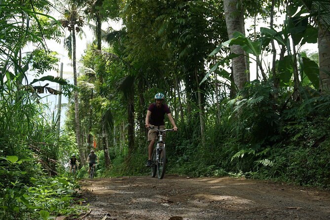 Kintamani Cultural and Nature Cycling Tour ( Manual Bike ) - Getting Away From Ubud: Pickup and the Morning Coffee Start