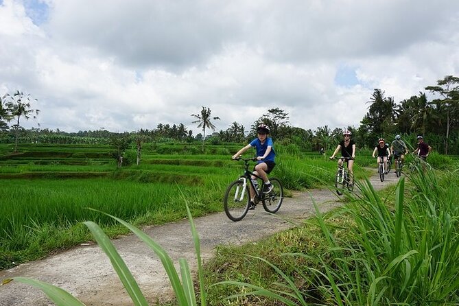 Kintamani Cultural and Nature Cycling Tour ( Manual Bike ) - Starting the Big Countryside Segment: Kintamani and Abuan Villages