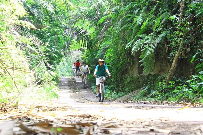 Kintamani Cultural and Nature Cycling Tour ( Manual Bike ) - Taro Village Break and Gunung Raung Temple Sight