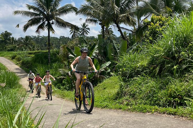 Kintamani Down Hill Cycling - Quick highlights