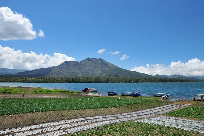 Kintamani Lake & Volcano Tour - Stop 2: Mas Woodcarving Center and the Reality of Craft Stops