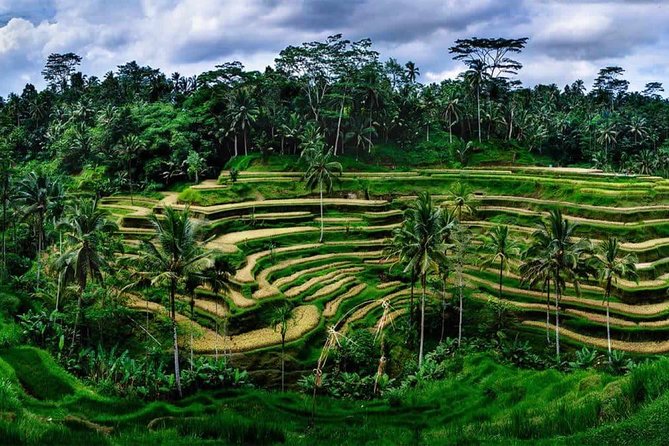 Kintamani Vulcano Tour - Gunung Kawi (Mount Kawi): cliffside carvings in rice-terrace views