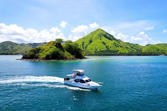 Komodo Island Adventure from Bali (Day Trip) - Komodo Island: ranger-guided trek and dragon spotting