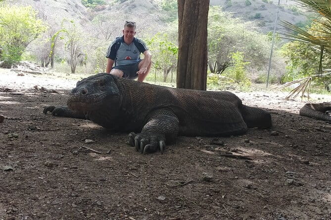 Komodo Island Adventure from Bali (Day Trip) - Pink Beach: pink sand views and a short swim window