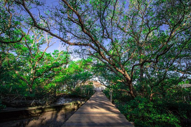 Kuta Beach eBike Private Tour - Turtle conservation lesson and the conservation-minded flow