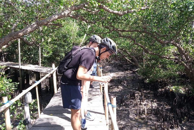 Kuta Beach eBike Private Tour - Price and value: what $116 buys you in real-world convenience