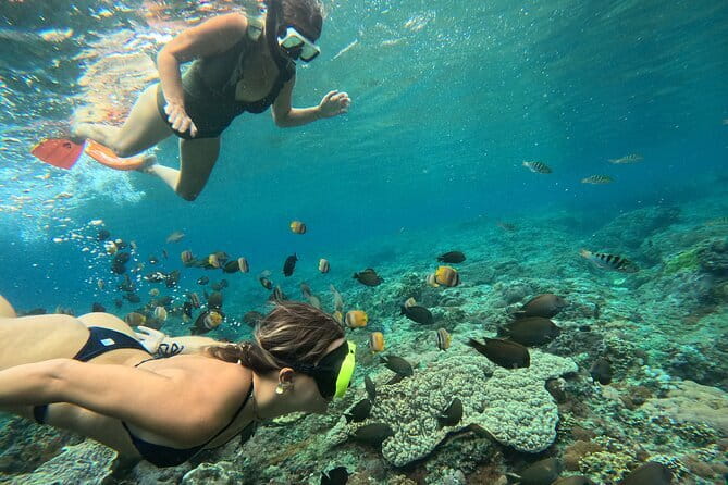 Lembongan Snorkeling at Manta Bay, Crystal Bay and Mangrove - Why this snorkeling route works (Manta Bay, Crystal Bay, Mangrove Point)
