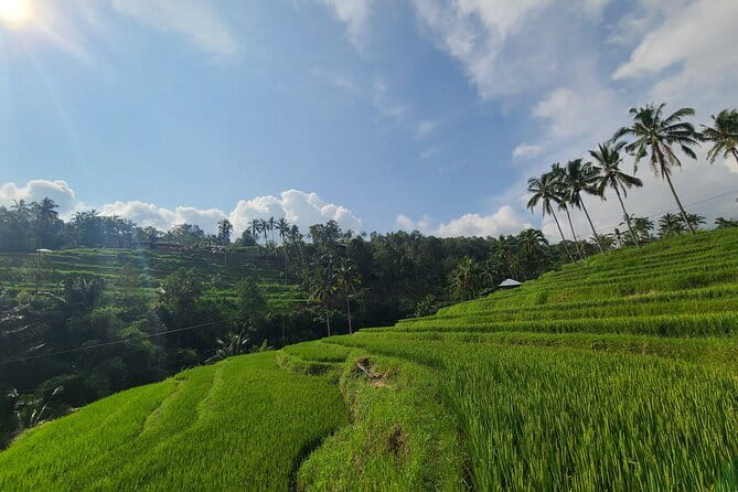 Lemukih Hidden Trekking Waterslide Sekumpul and Fiji Waterfall - Sekumpul Waterfall: Where the Wet Fun Starts to Feel Real