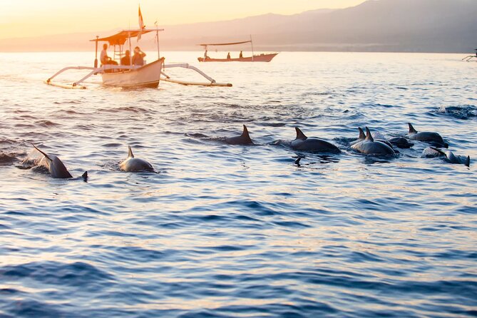 Lovina Sunrise Dolphin & Waterfall Tour - Lovina Sunrise Dolphin Cruise: what to expect on the volcanic coast