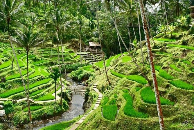 Magic Of Ubud Temple Swing And Waterfall Private Guided Tour - A Full-Day Ubud Plan: Temples, Swings, Rice Terraces, Waterfall