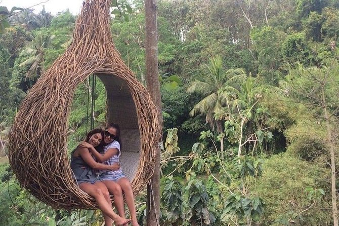 Magic Of Ubud Temple Swing And Waterfall Private Guided Tour - Lunch Time in the Ubud Style: Budget It Like an Adult