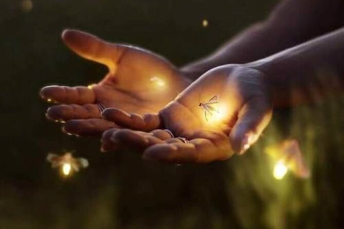 Magical Village Tour & Private Dinner with Fireflies in Bali - Why the Taro firefly timing matters at 6 pm