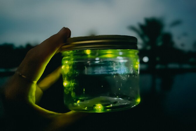 Magical Village Tour & Private Dinner with Fireflies in Bali - Dinner that doesn’t feel like an afterthought