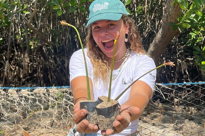 Mangrove Reforestation and Exploration around the Nusa Islands - Price and What You Really Get for $76.60