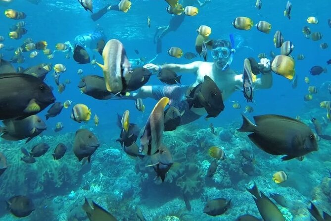 Manta Bay Snorkeling Adventure with Kelingking Beach Nusa Penida All Inclusive - Key Highlights Worth Planning For