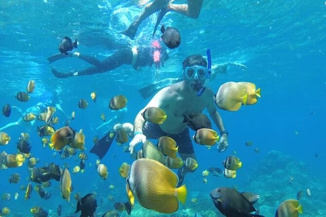 Manta Bay Snorkeling Adventure with Kelingking Beach Nusa Penida All Inclusive - How This Day Actually Flows From Jimbaran to Sanur to Nusa Penida