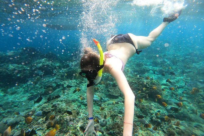 Manta Bay Snorkeling Adventure with Kelingking Beach Nusa Penida All Inclusive - Snorkeling Setup: Equipment, Shared Boats, and What to Watch for