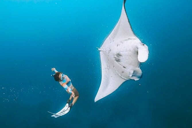 Manta Point Snorkeling & West Nusa Penida Island Day Tour - Key Highlights You’ll Care About