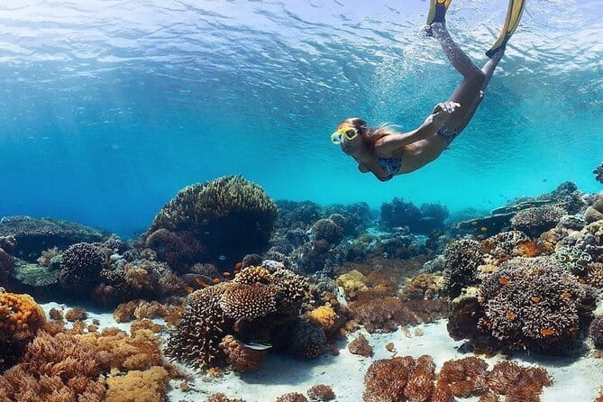 Manta Point Snorkeling & West Nusa Penida Island Day Tour - How This Full-Day West Penida Plan Actually Feels