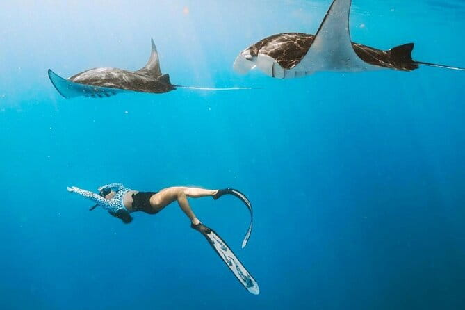 Manta Point Snorkeling & West Nusa Penida Island Day Tour - Manta Point Snorkeling: The Main Event, and Why the Location Matters