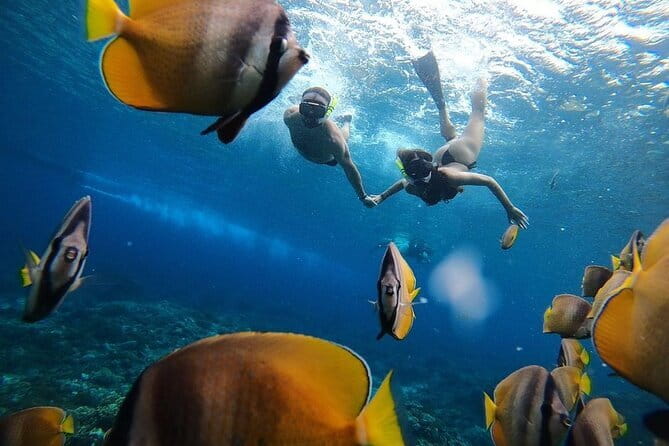 Manta Point Snorkeling & West Nusa Penida Island Day Tour - Kelingking Beach: The Iconic West Cliff View You’ll Understand Fast