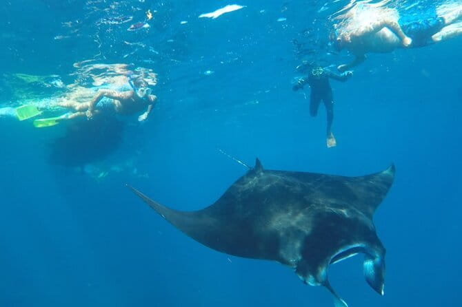 Manta Point Snorkeling & West Nusa Penida Island Day Tour - Angel’s Billabong: An Infinity Pool With Real Respect Attached