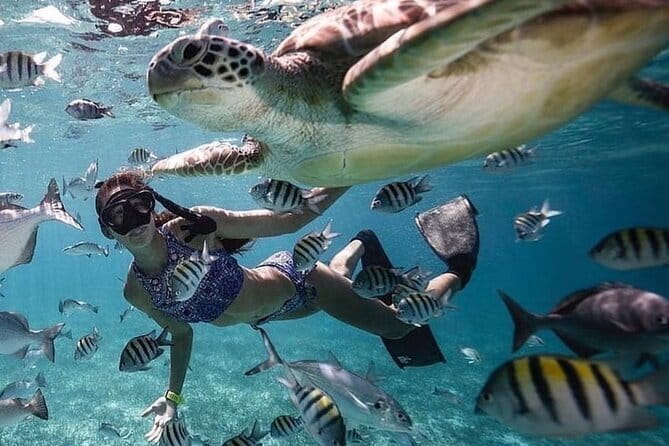 Manta Point Snorkeling & West Nusa Penida Island Day Tour - Broken Beach and the Double-Stop Timing Trick