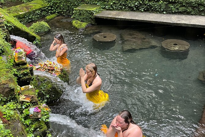 Meditate with a Shaman - First Light Pickup in Ubud: Why the Timing Works