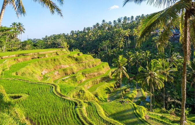 Melukat - The Purification Ceremony at Tirta Empul Temple - Key Highlights Worth Your Time