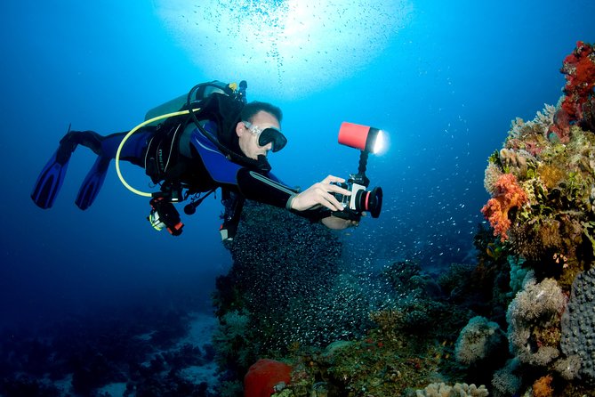 Menjangan island for Certified Scuba Divers full day boat trip, 2 dives + lunch - Safety-first instruction and how the team handles real-life needs