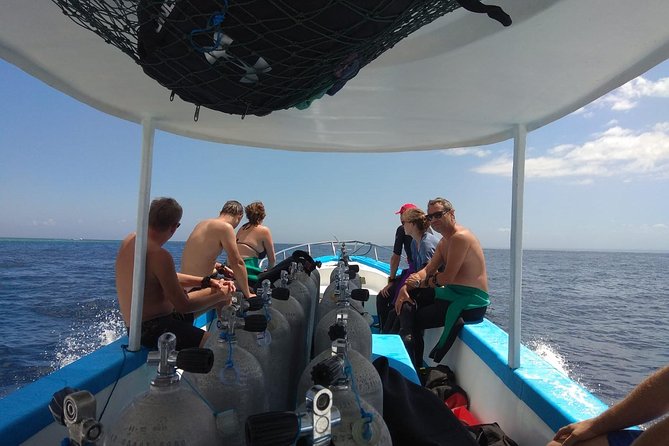 Menjangan island snorkeling full day boat trip - Menjangan Island Snorkeling: What You’re Actually Looking For