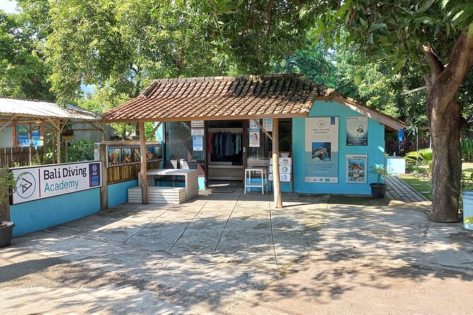 Menjangan island snorkeling full day boat trip - Price and Value: What $46 Buys You Beyond the Snorkel