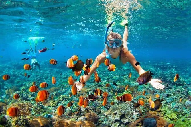 Monkey Bar and snorkling adventure at blue lagoon. - Who this tour is best for