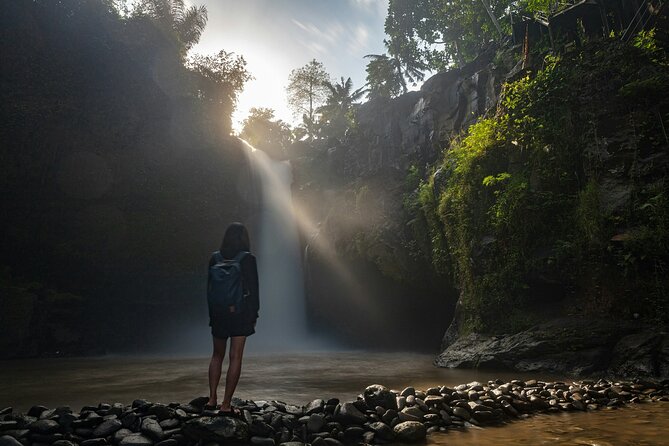 Monkey Forest, Temple, Waterfall and Rice Terrace in Ubud Tour - Tegalalang Rice Terrace viewpoints: photos are great, but pace matters