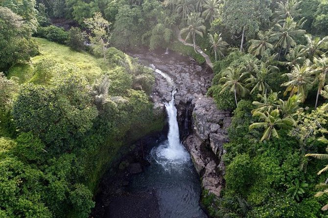 Monkey Forest Ubud Half day Tour - A fast Ubud sampler: what fits in a 3.5-hour half day