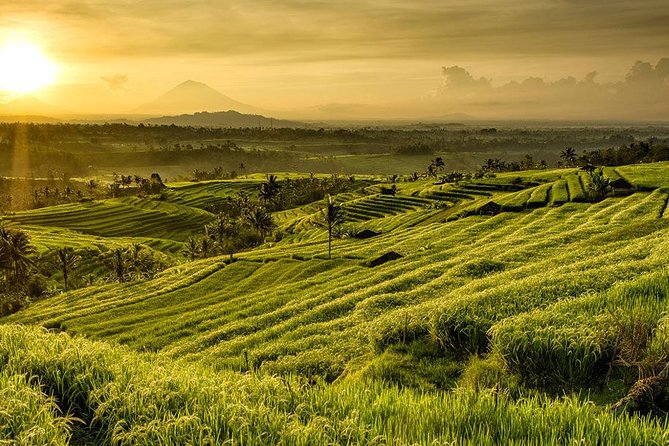 More Complete: Discover Bali In 3 Days Private Tour Package - Day 2: Bratan, UNESCO terraces at Jatiluwih, and the Tanah Lot sunset moment