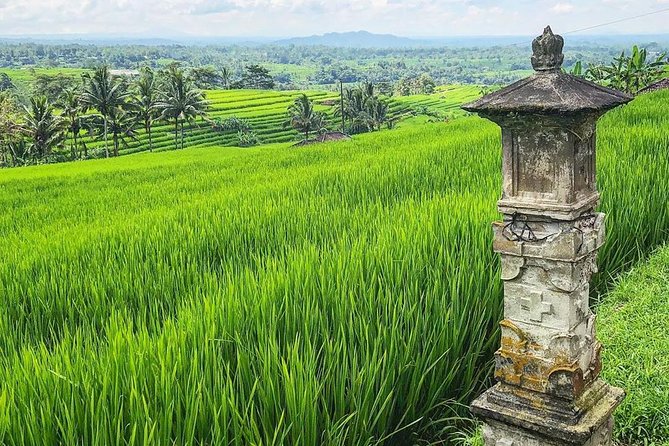 More Complete: Discover Bali In 3 Days Private Tour Package - Who should book this Bali in 3 days private tour