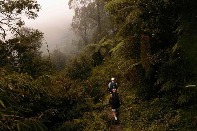 Mount Agung Sunrise Trekking with Local Guide - Summit rewards: panoramic Bali and a wider view than you expect