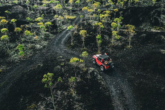 Mount Batur 4WD Jeep, Breakfast and Hot Spring All Inclusive - The Ubud-to-volcano drive: what the 4WD Jeep experience really means