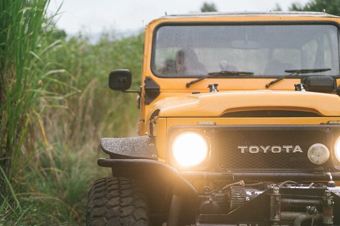 Mount Batur Black Lava Jeep Tour with Pickup - The 4WD ride: fun off-road energy without the hike headache