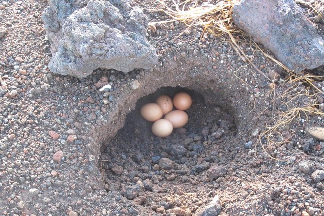 Mount Batur Sunrise Hike with Breakfast - Steam-Cooked Egg Breakfast: The Most Fun Part (Yes, Really)