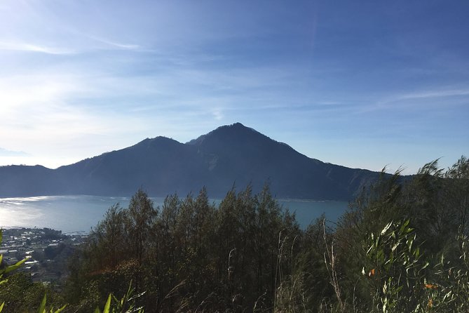 Mount Batur Sunrise Trekking & Hot Spring Tour - The Coffee Plantation Stop: A Family-Owned Tasting